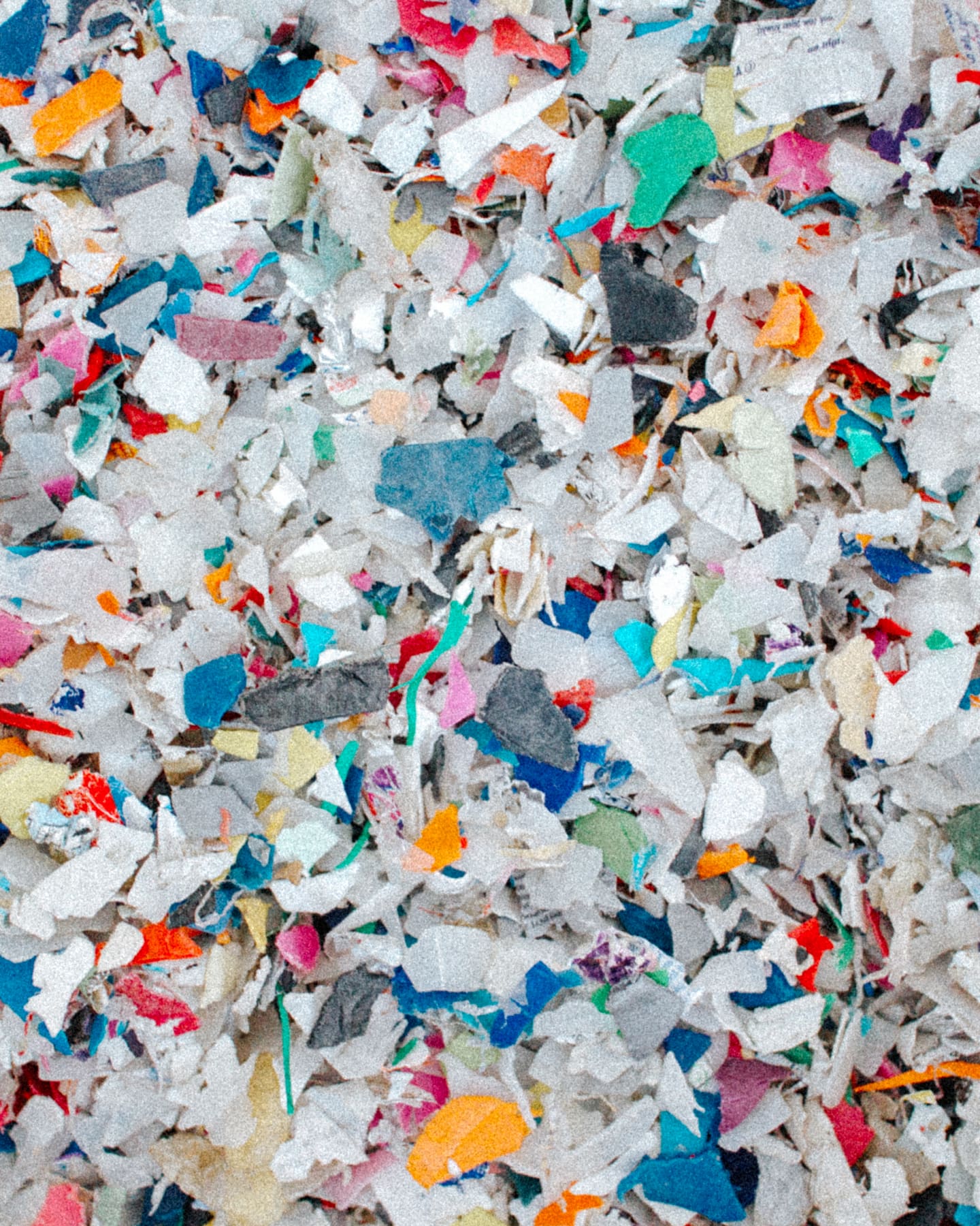 Sustainability stories - the two Emelies image 2