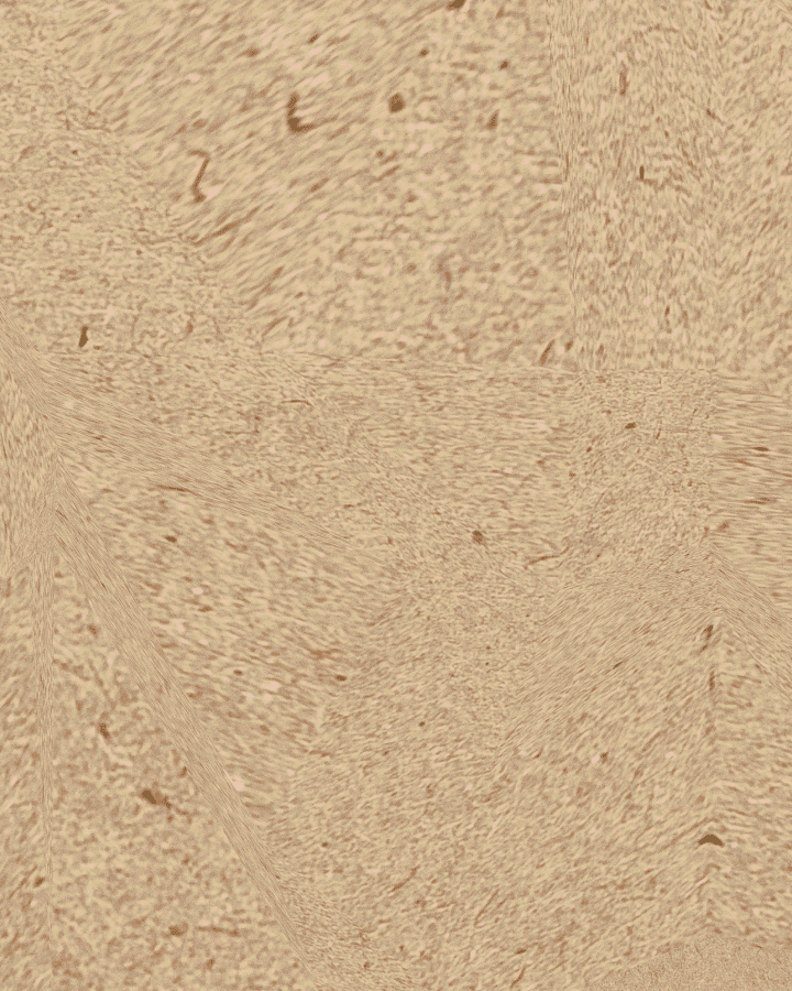 Sustainability initiative - Climate neutral transport