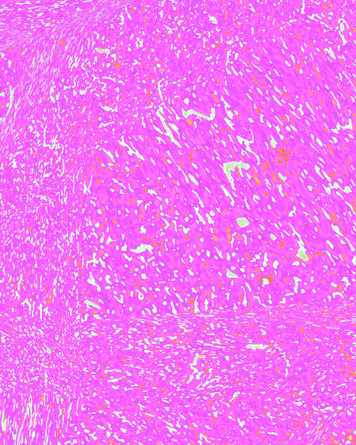 Sustainability initiatives - Workers' rights cover image