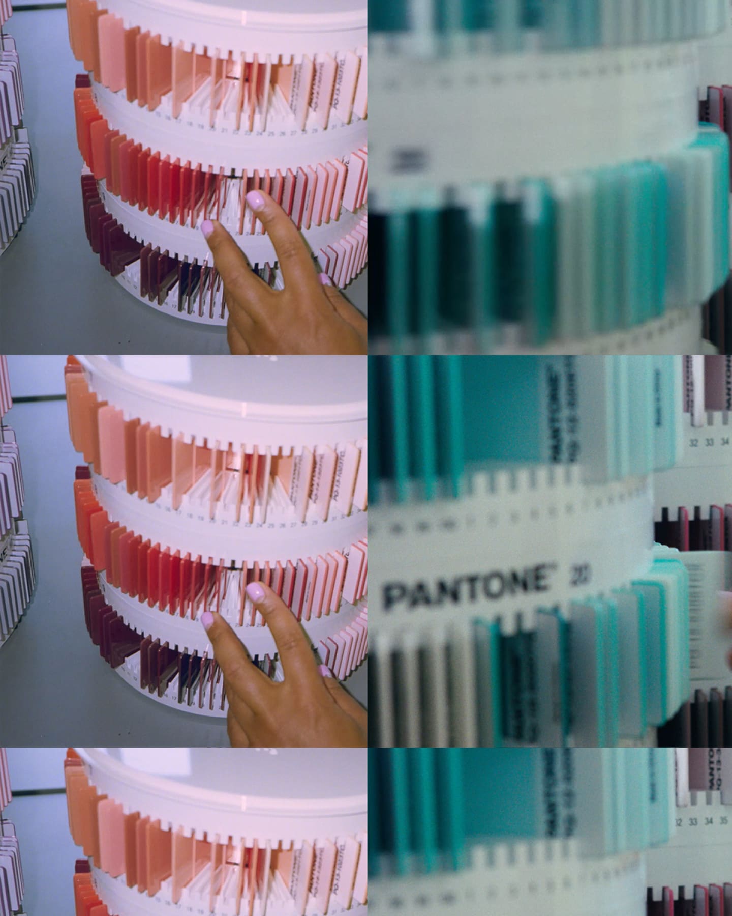 Sustainability stories - Jenny Lechner image 1